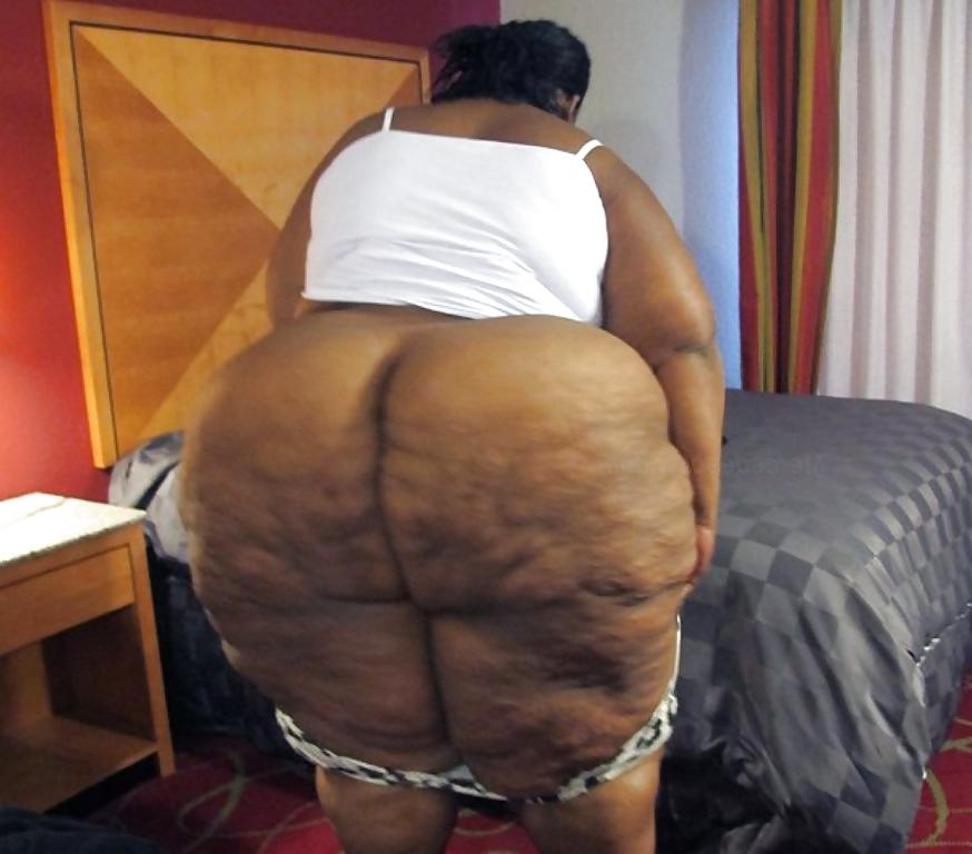 25P BBW COLLECTION PT120