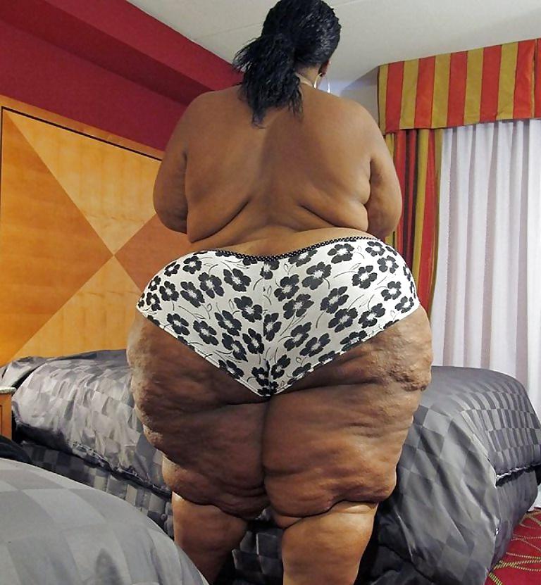 25P BBW COLLECTION PT120
