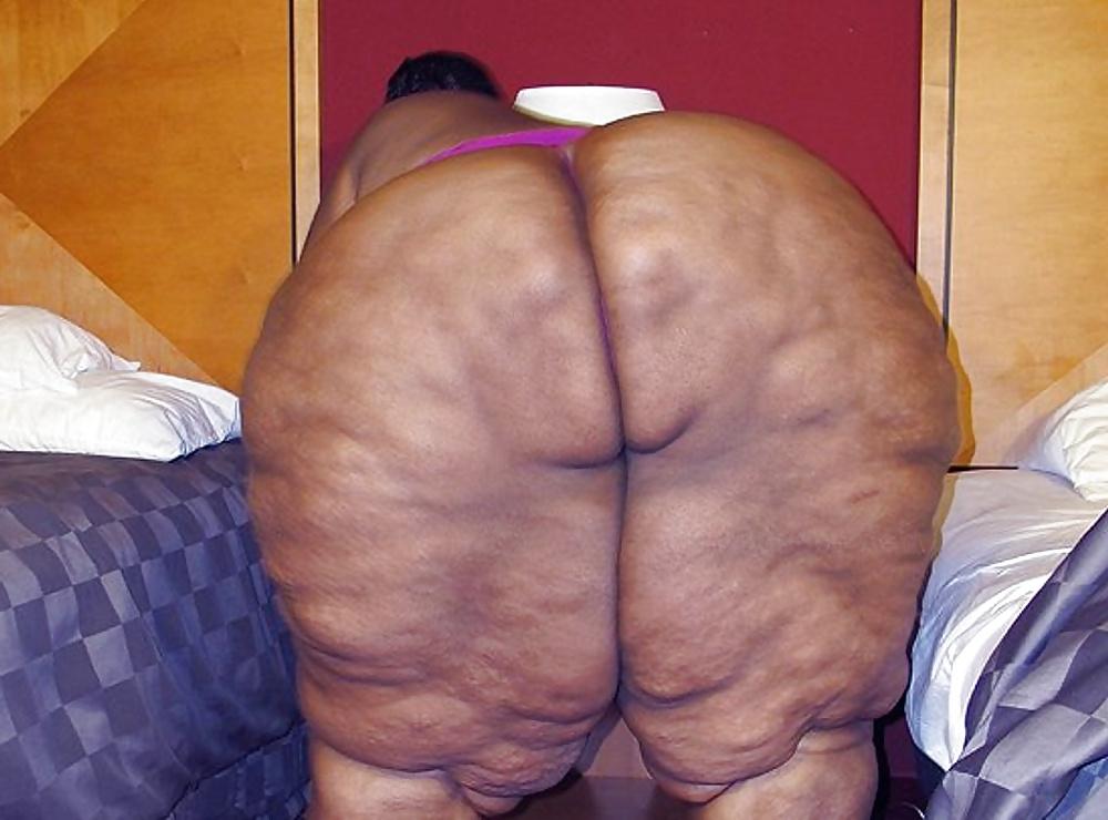 25P BBW COLLECTION PT120