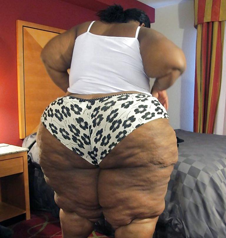 25P BBW COLLECTION PT120