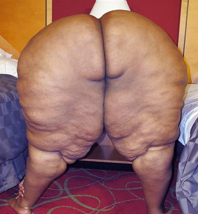 25P BBW COLLECTION PT120