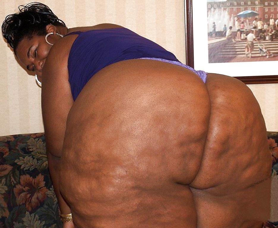 25P BBW COLLECTION PT120