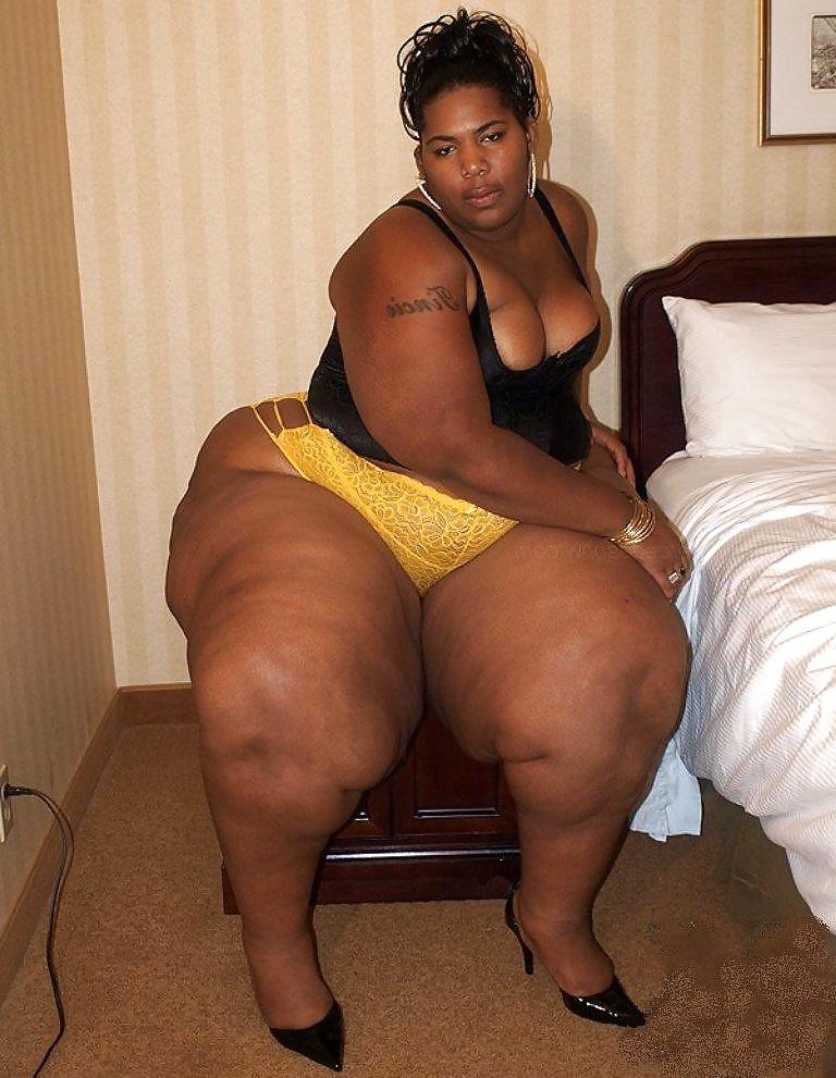 25P BBW COLLECTION PT120
