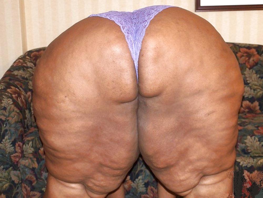 25P BBW COLLECTION PT120