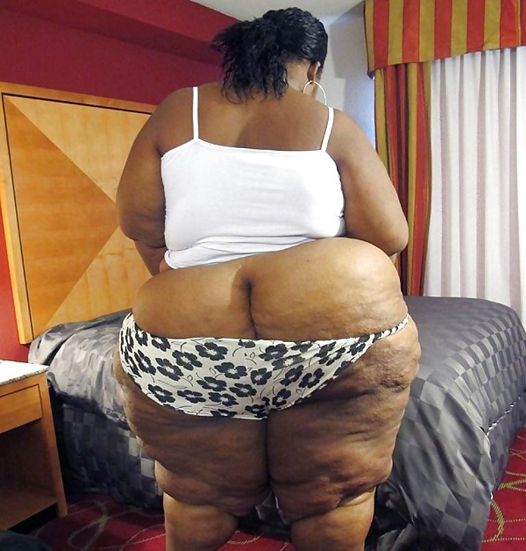 25P BBW COLLECTION PT120