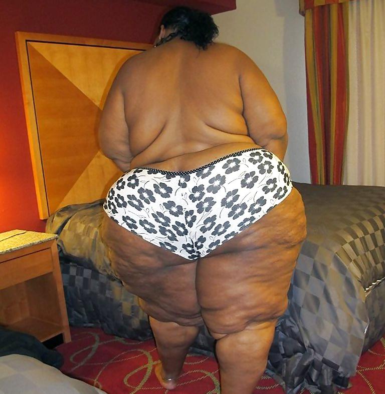 25P BBW COLLECTION PT120