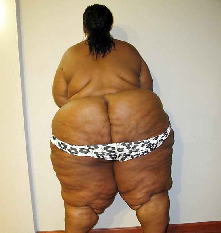 25P BBW COLLECTION PT120