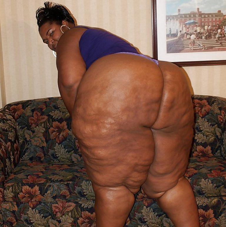 25P BBW COLLECTION PT120