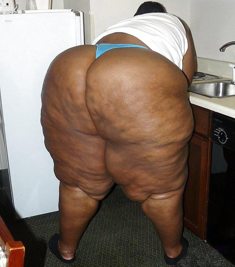25P BBW COLLECTION PT120