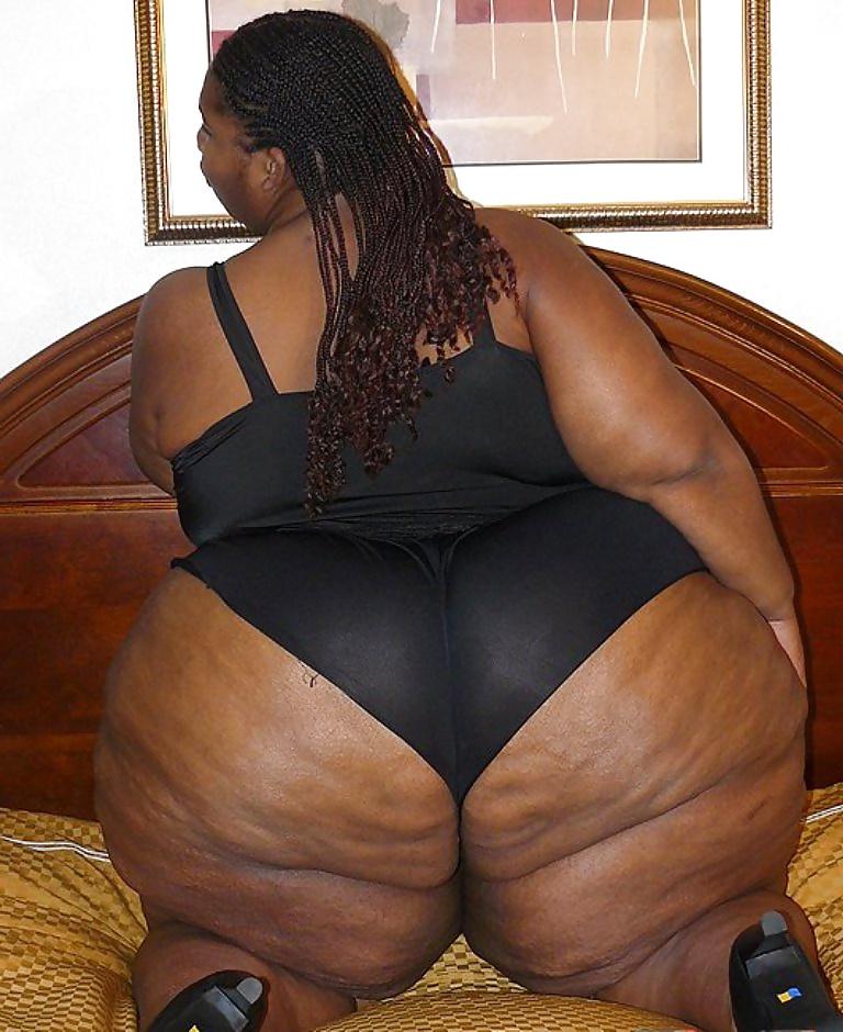 25P BBW COLLECTION PT120