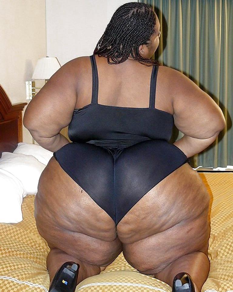 25P BBW COLLECTION PT120