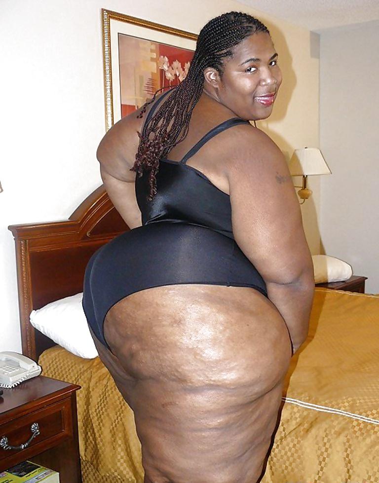 25P BBW COLLECTION PT120