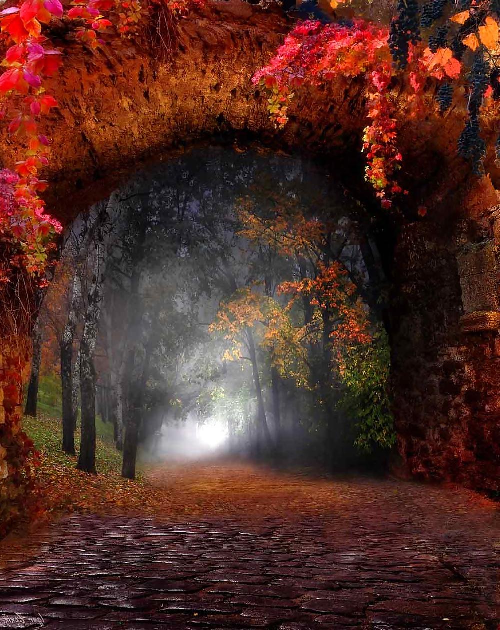 25P Women, nature and dreams