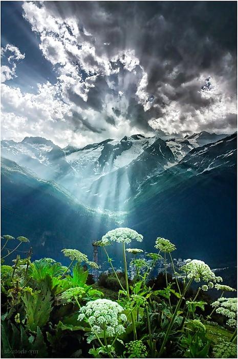 25P Women, nature and dreams