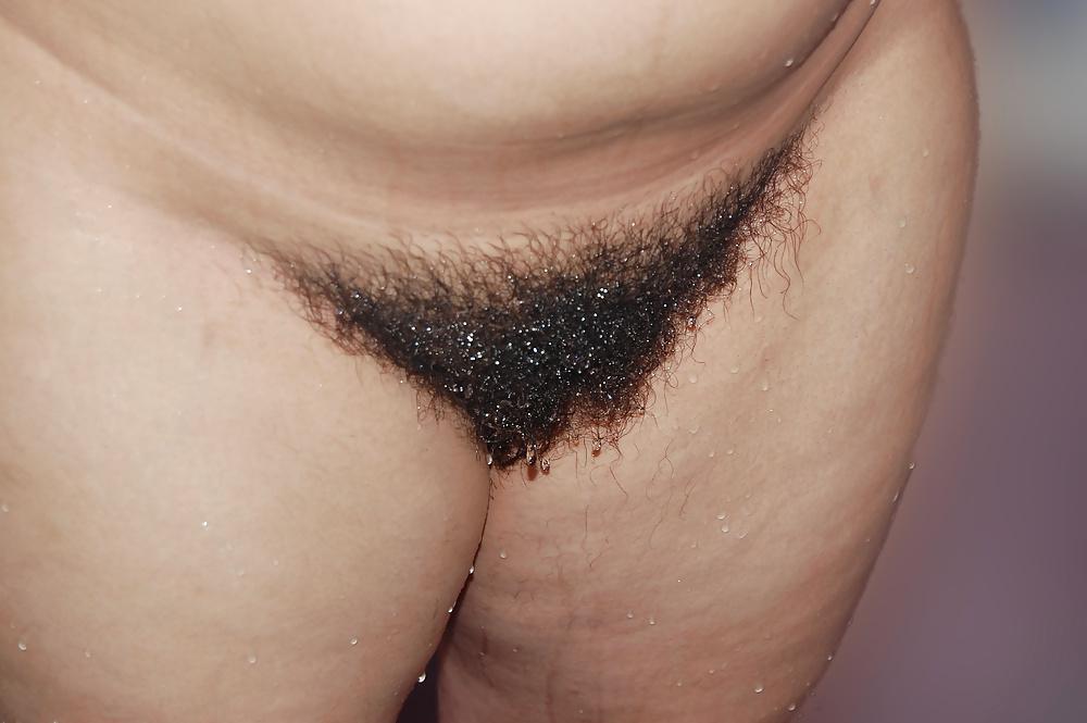 13P Amazing hairy wife shower