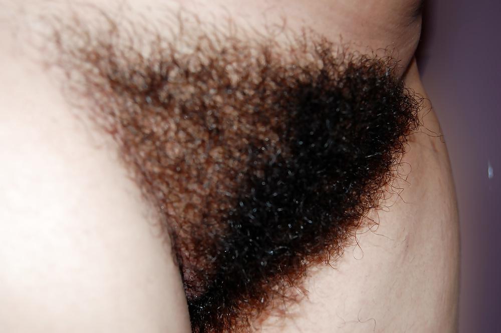 13P Amazing hairy wife shower