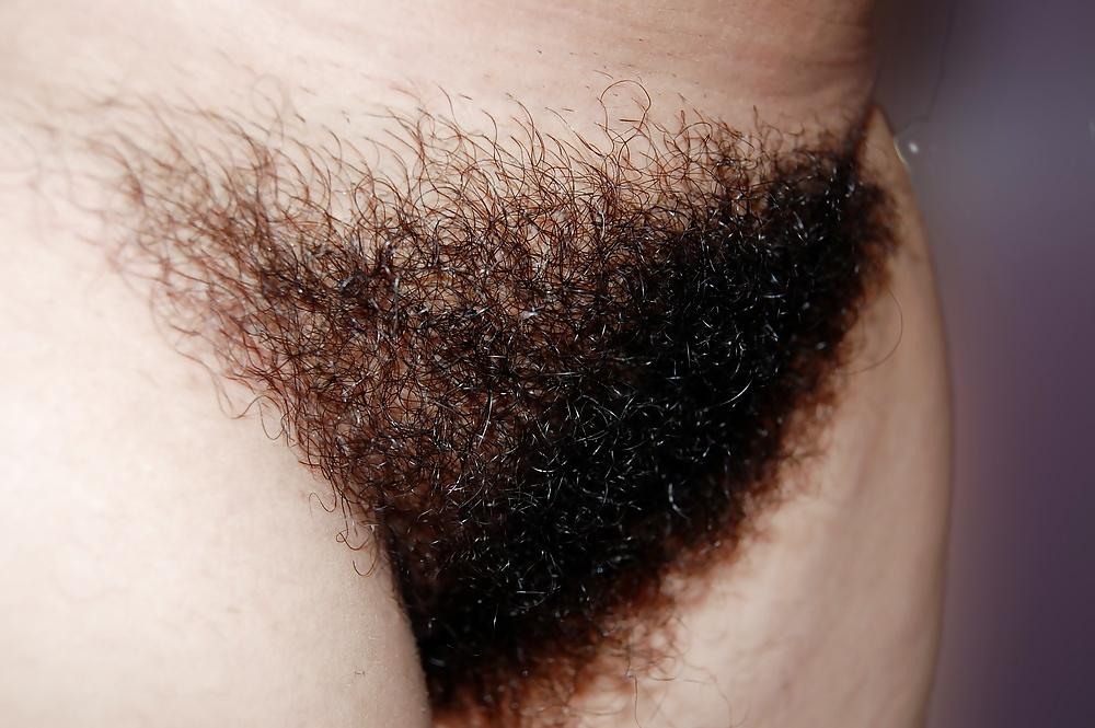 13P Amazing hairy wife shower