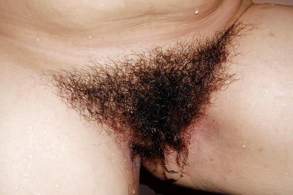 13P Amazing hairy wife shower