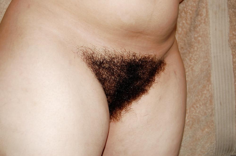 13P Amazing hairy wife shower