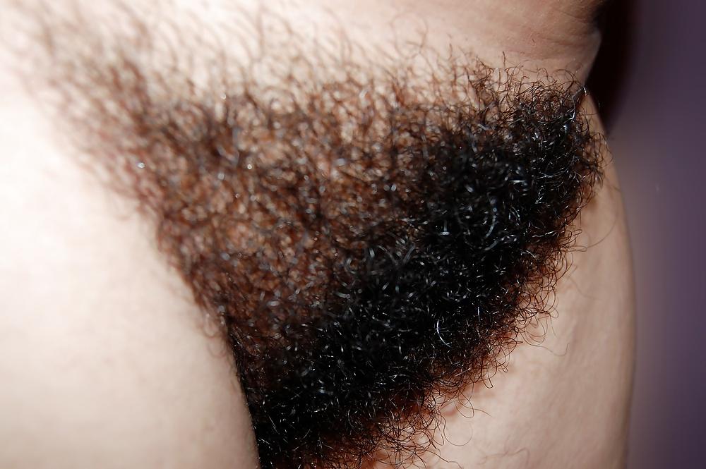 13P Amazing hairy wife shower