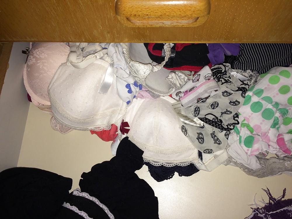 9P University panties