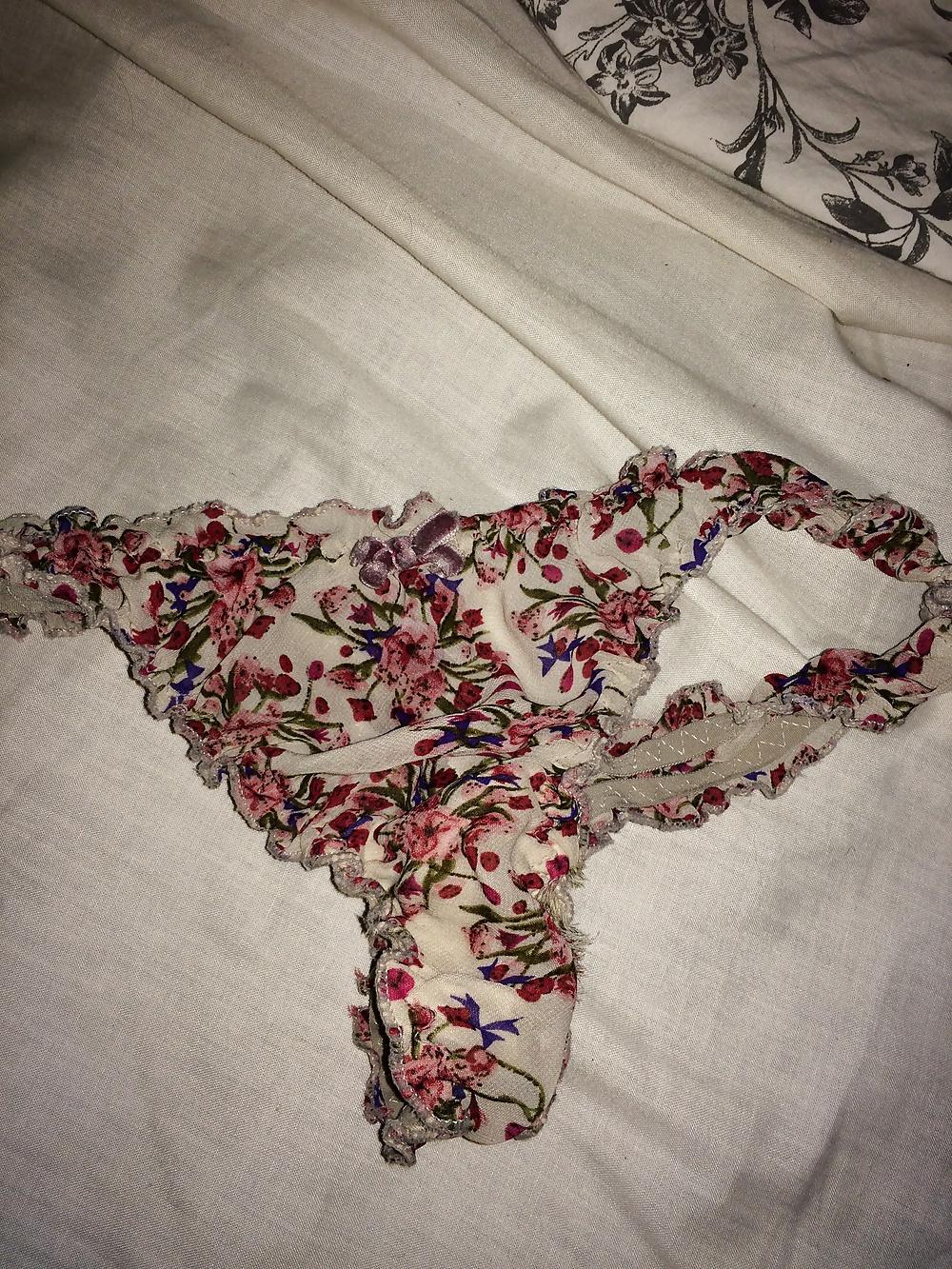 9P University panties