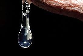 19P PRECUM dripping cock and wet pussy 