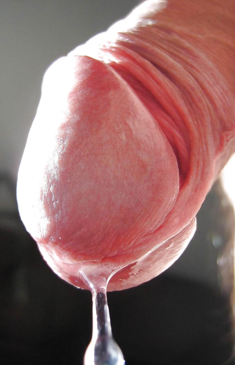 19P PRECUM dripping cock and wet pussy 