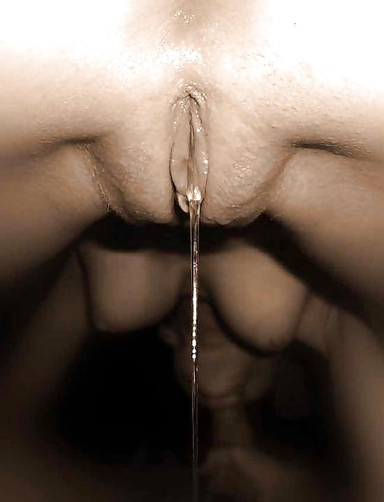 19P PRECUM dripping cock and wet pussy 