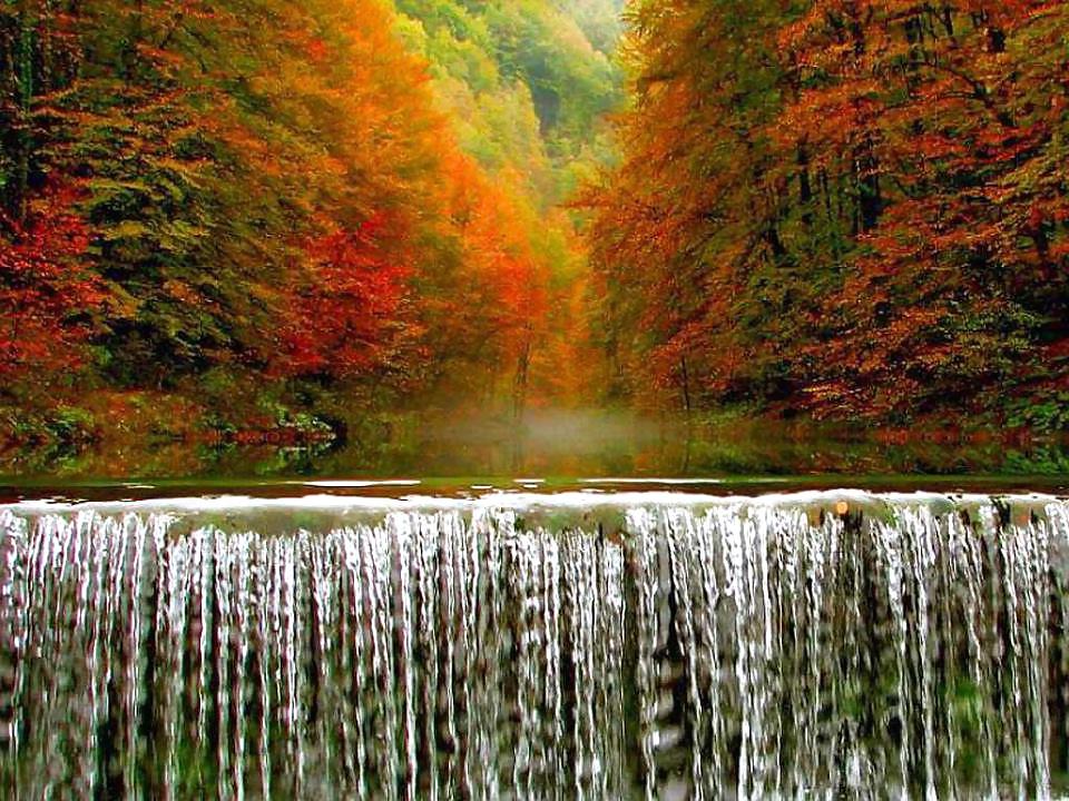 25P Wonderful Nature