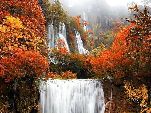 25P Wonderful Nature