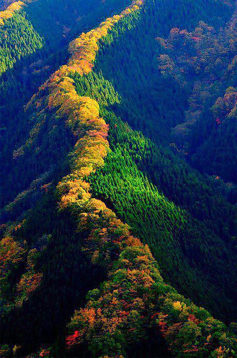 25P Wonderful Nature