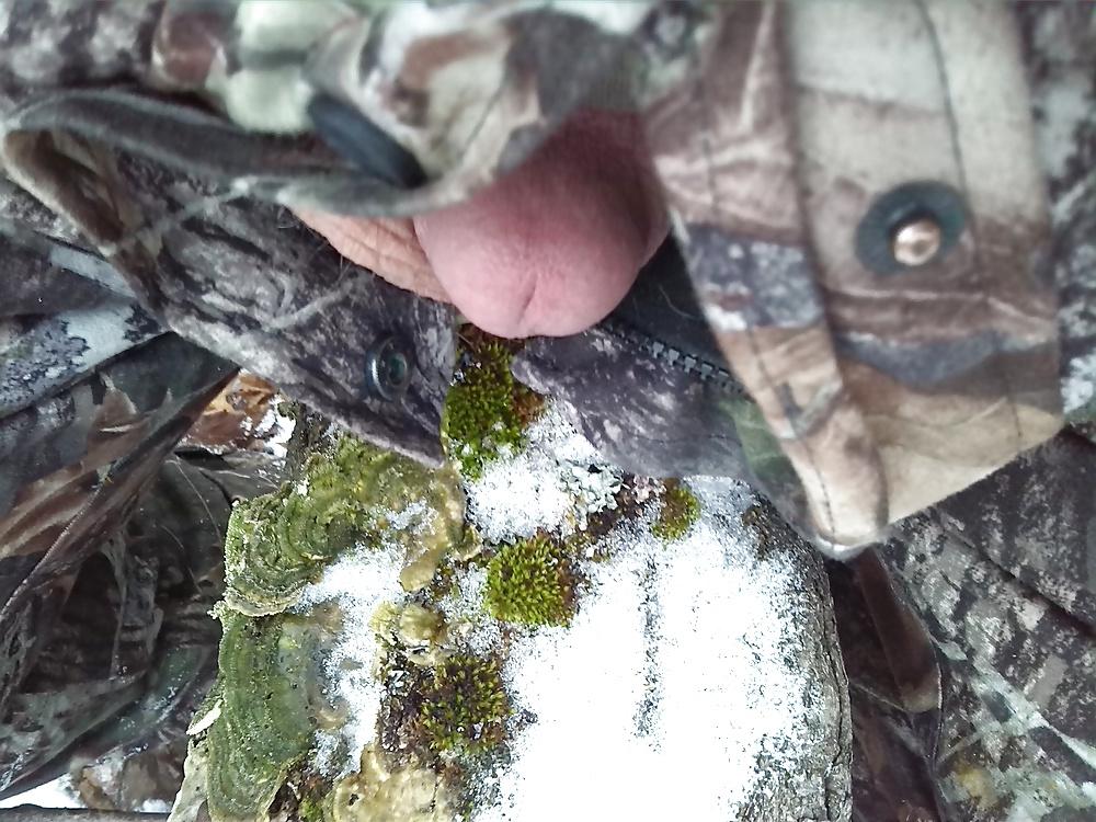 9P Coming out in nature