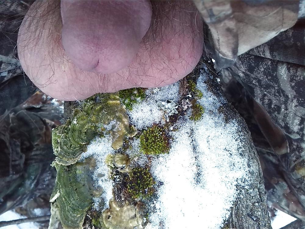 9P Coming out in nature