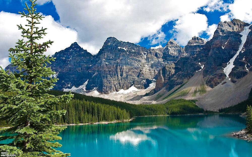 25P Nature Photos