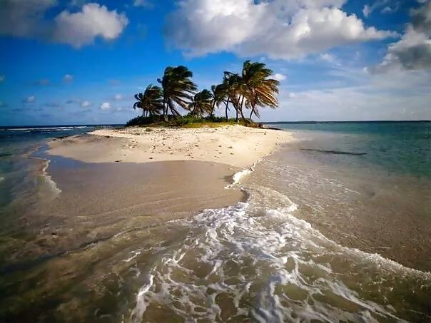 25P Nature Photos
