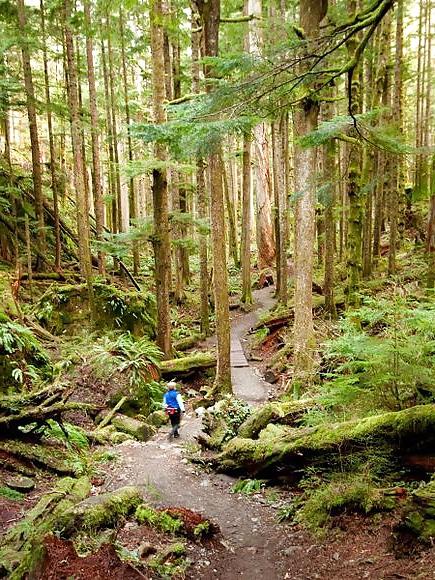 25P Nature Photos