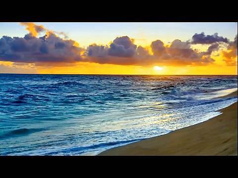 25P Nature Photos