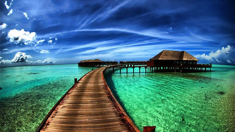 25P Nature Photos
