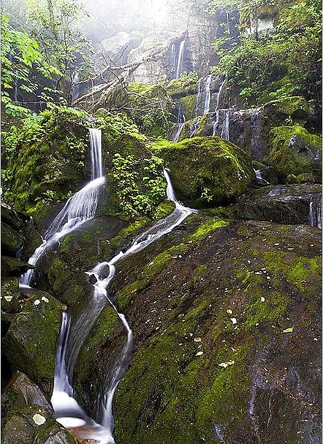 25P Nature Photos