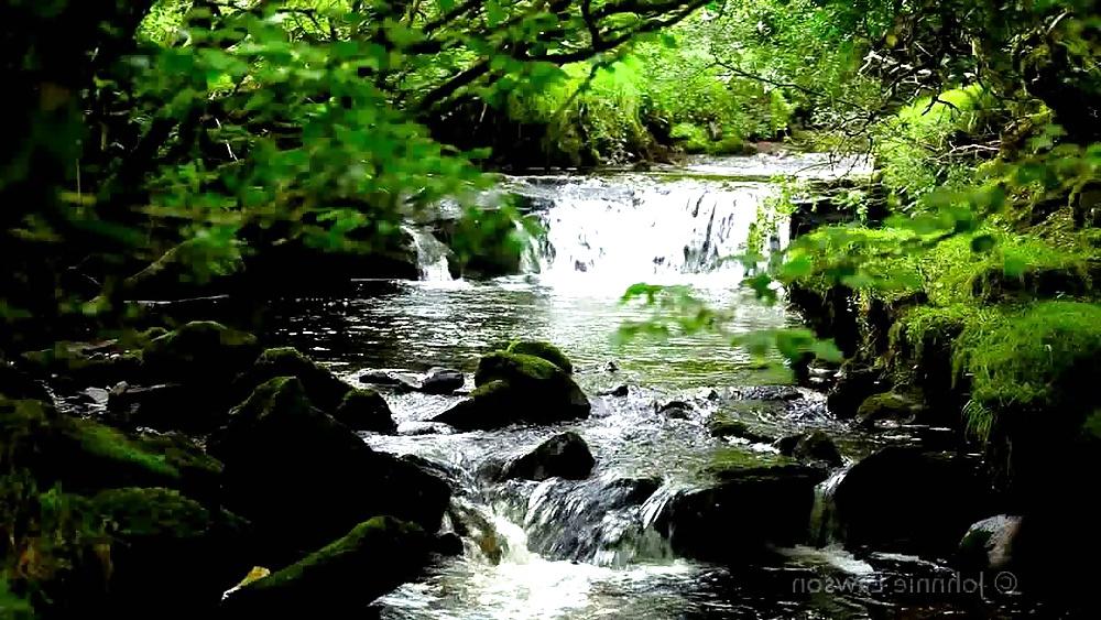 25P Nature Photos