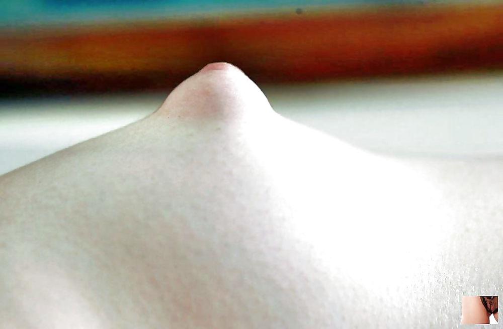 25P Nipples