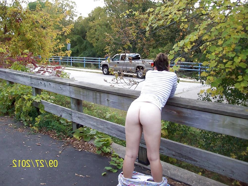20P Asses in Nature