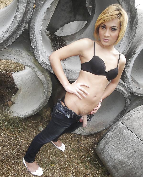 25P Asian LadyBoys