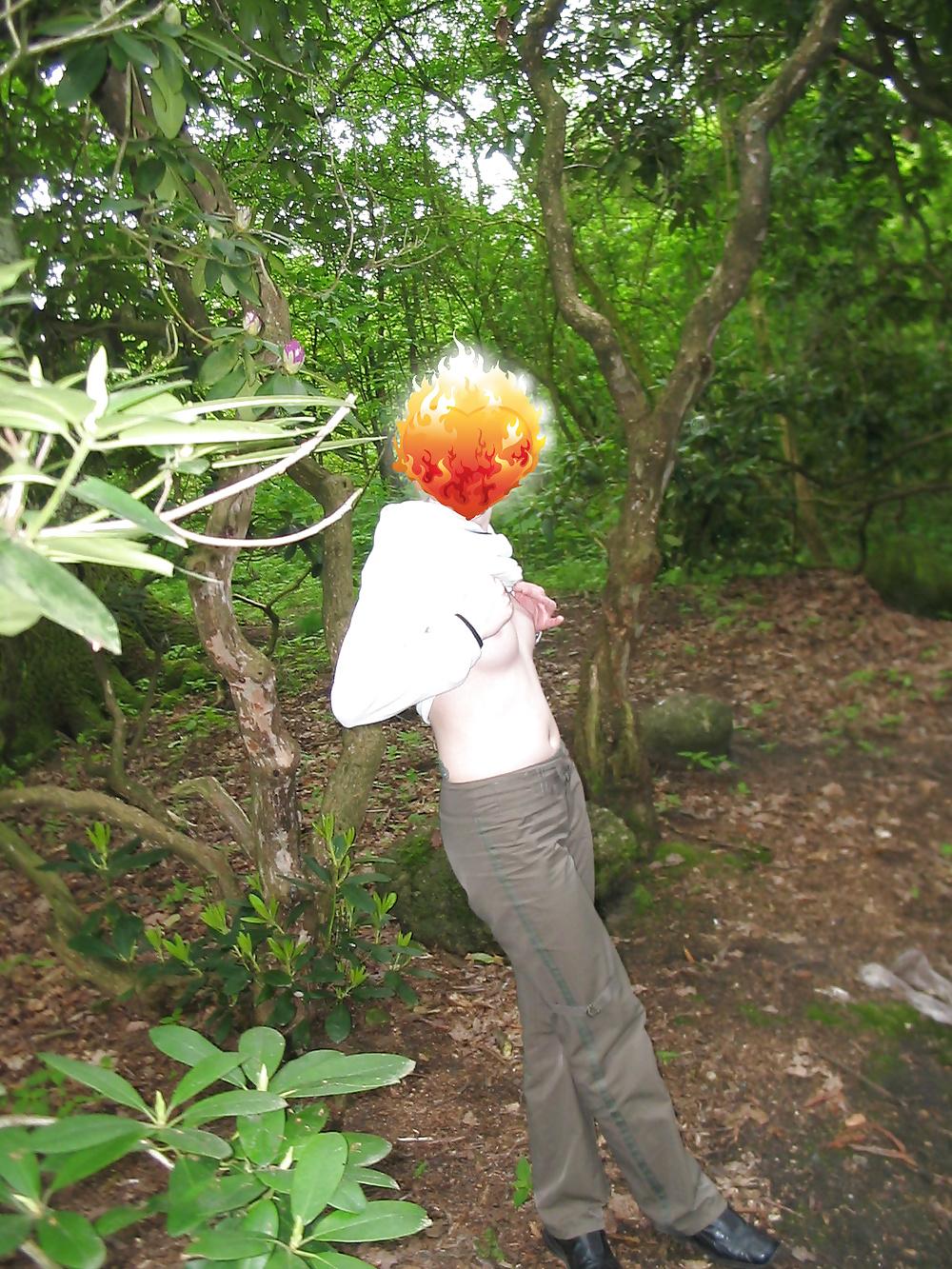 4P Nature shoots