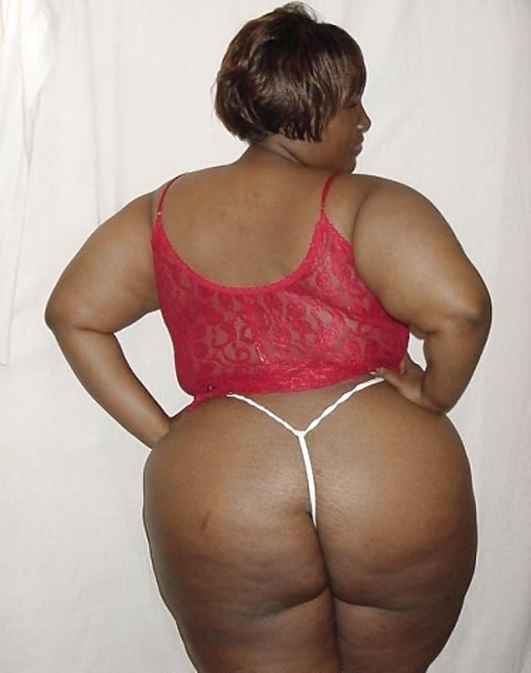 25P BBW COLLECTION PT122