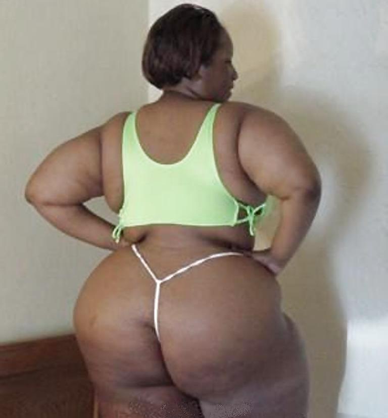 25P BBW COLLECTION PT122