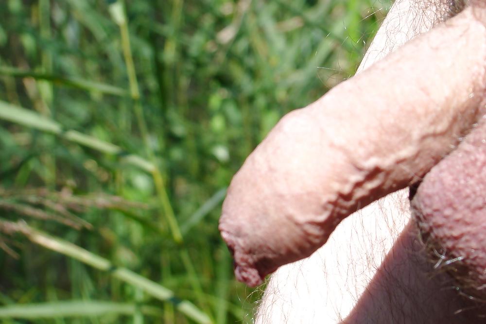 6P Buiten in de natuur