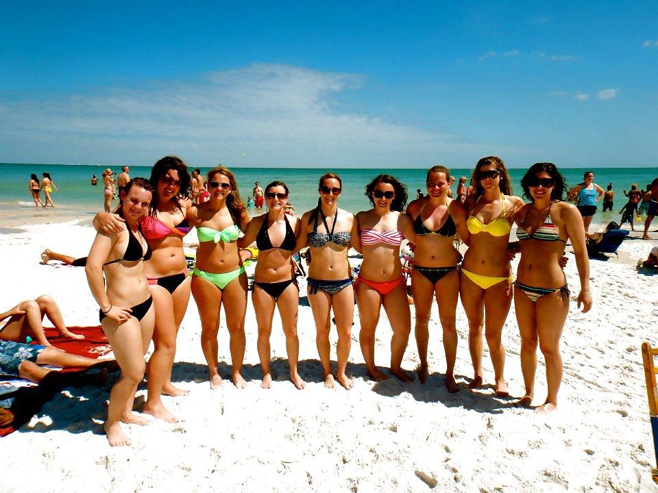17P Boston University Bitches in Bikinis #4