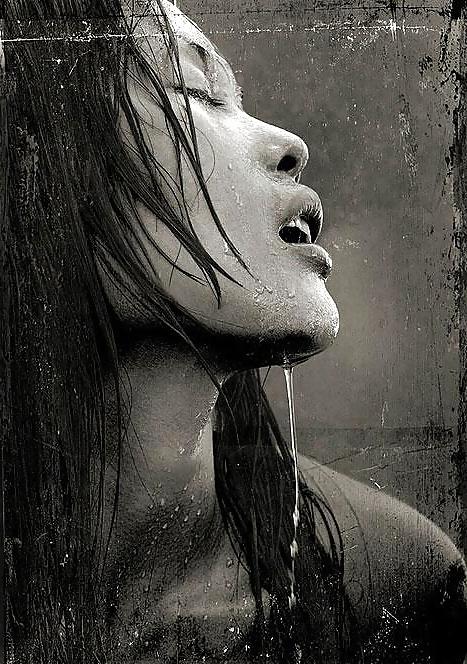 25P Women, nature and dreams 3